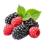 wild berries flavour option
