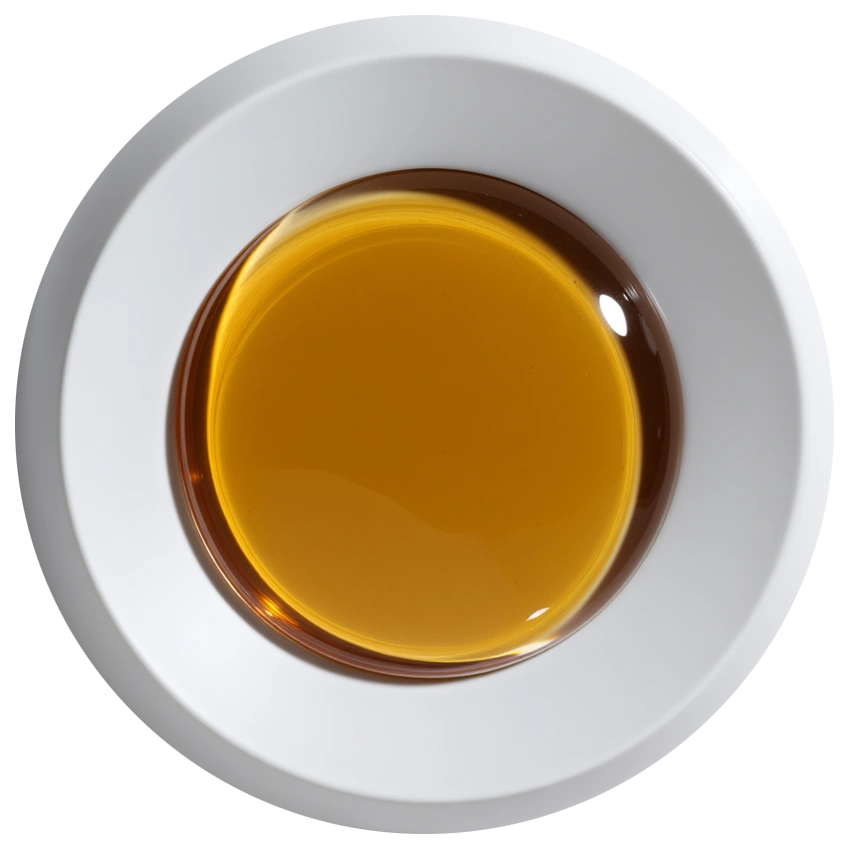 Cannoria™ broad spectrum CBD oil by Hempo Solutions – THC-free formula designed as B2B wellness product