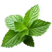 mint flavour option