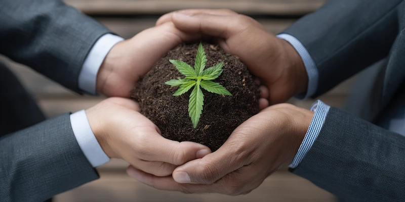 Hempo Solutions Vision