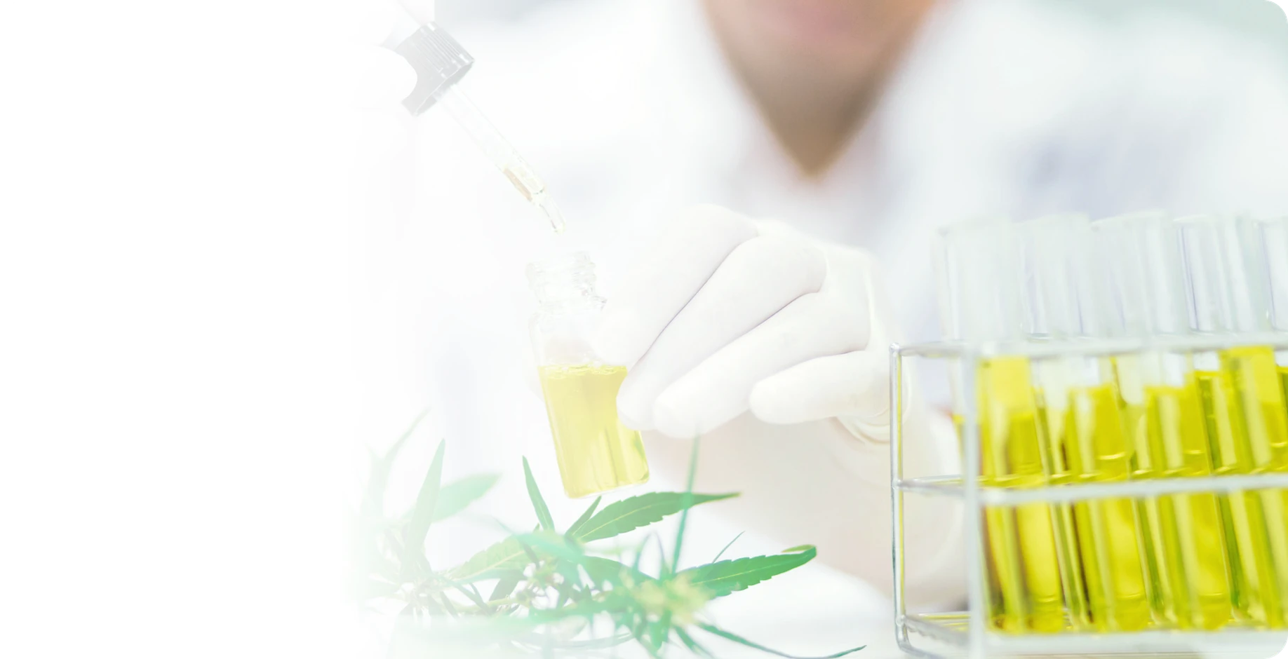Hempo solutions in house laboratory testing for cbd product quality and compliance