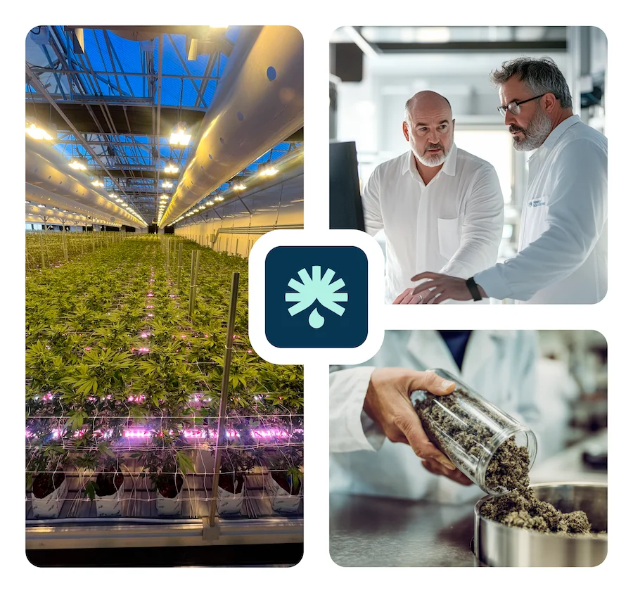 Premium CBD manufacturing with double CO₂ extraction, indoor-grown hemp, and EU-compliant production by Hempo Solutions